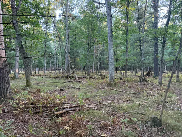 $989,000 | 9283 Willow Road, Bitely, MI 49309