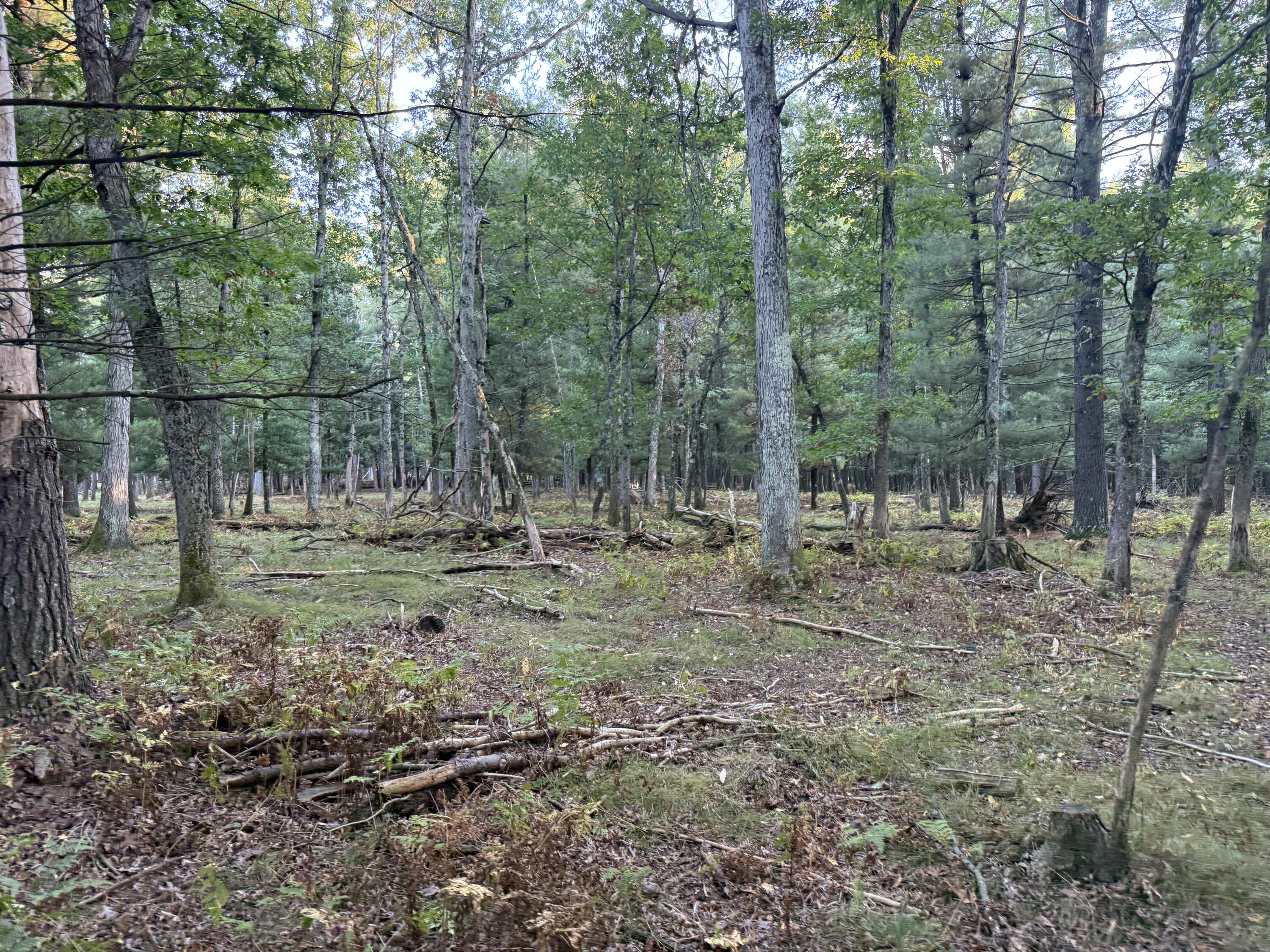 9283 Willow Road Bitely, MI 49309 - Photo 10 of 56 IMG_3251