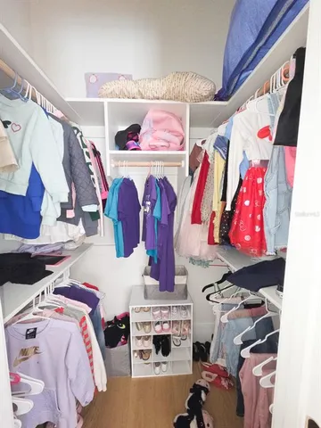 a view of swimming pool with lawn chairs and palm trees