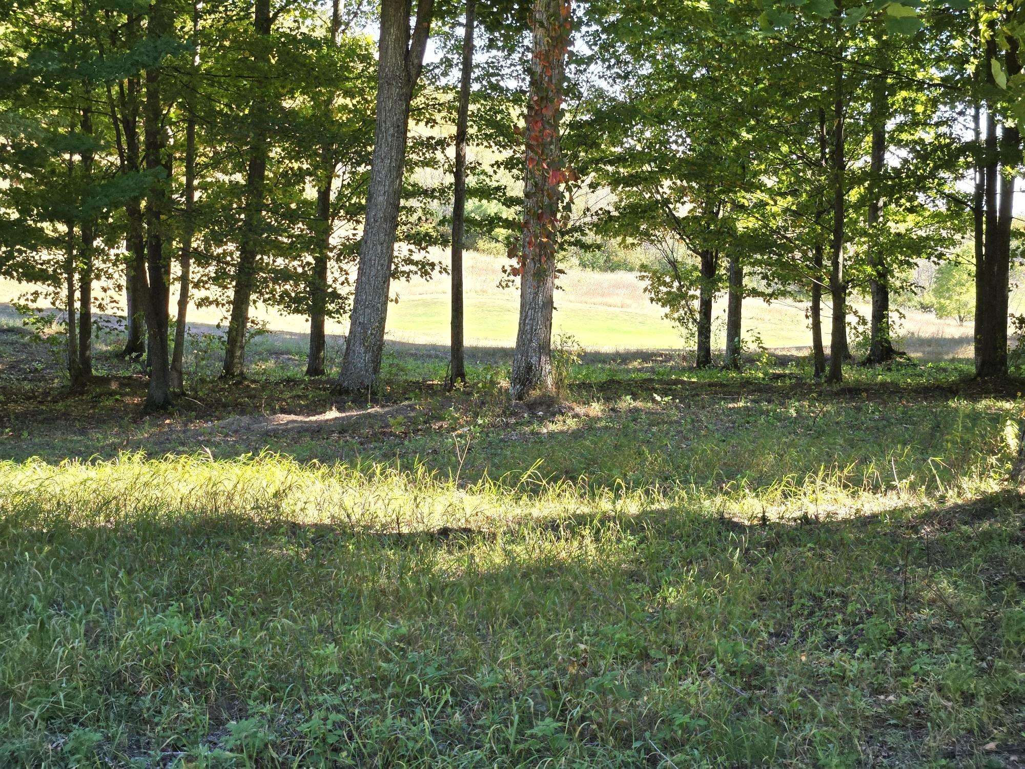 20 Heather Ridge Trail Beulah, MI 49617 - Photo 5 of 11