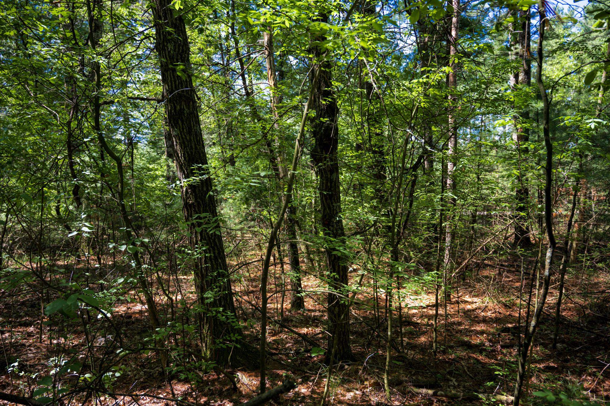 Lot 132 19th Arkdale, WI 54613 - Photo 16 of 27