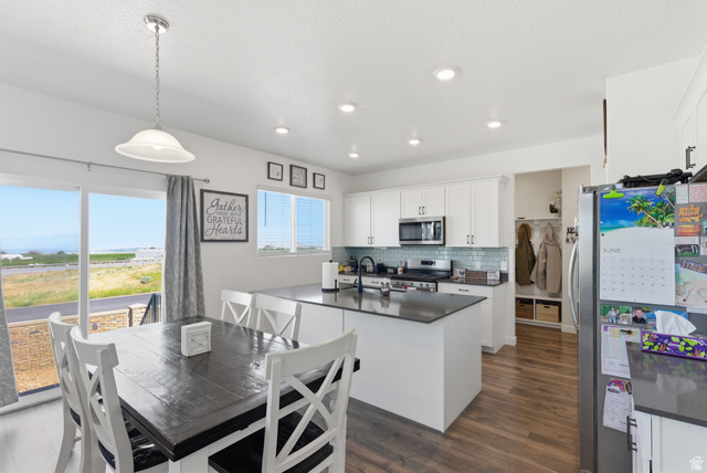 1202 South Raintree Lane Santaquin, UT 84655 - Photo 11 of 41