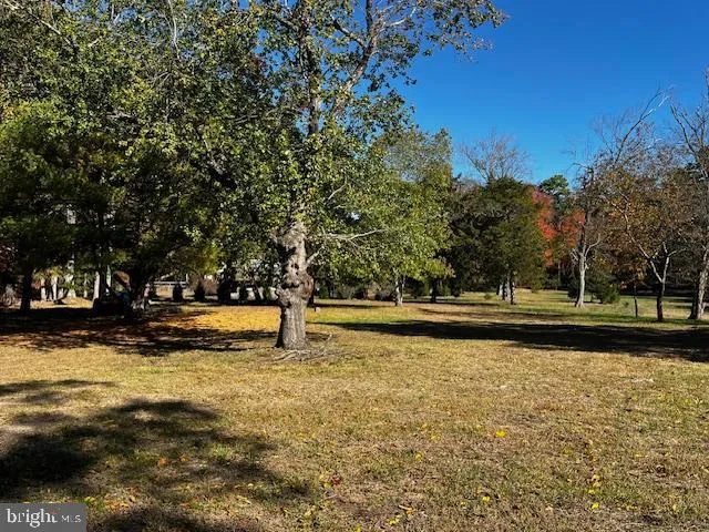 a view of a yard with a tree