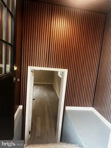 a view of water with large trees