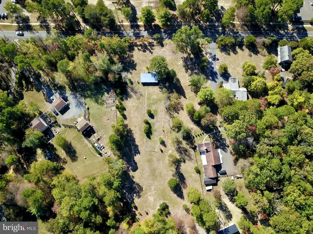 a view of grapes plant