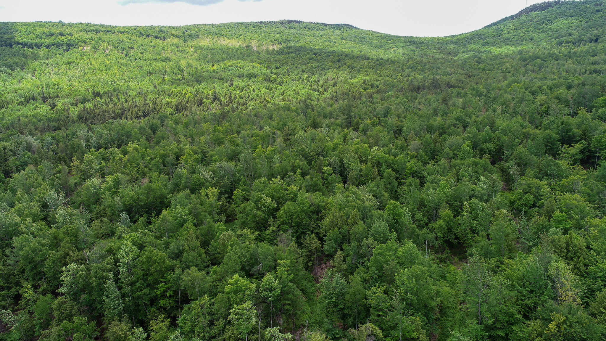 7 Map Roxbury, ME 04275 - Photo 4 of 7 DJI_0173