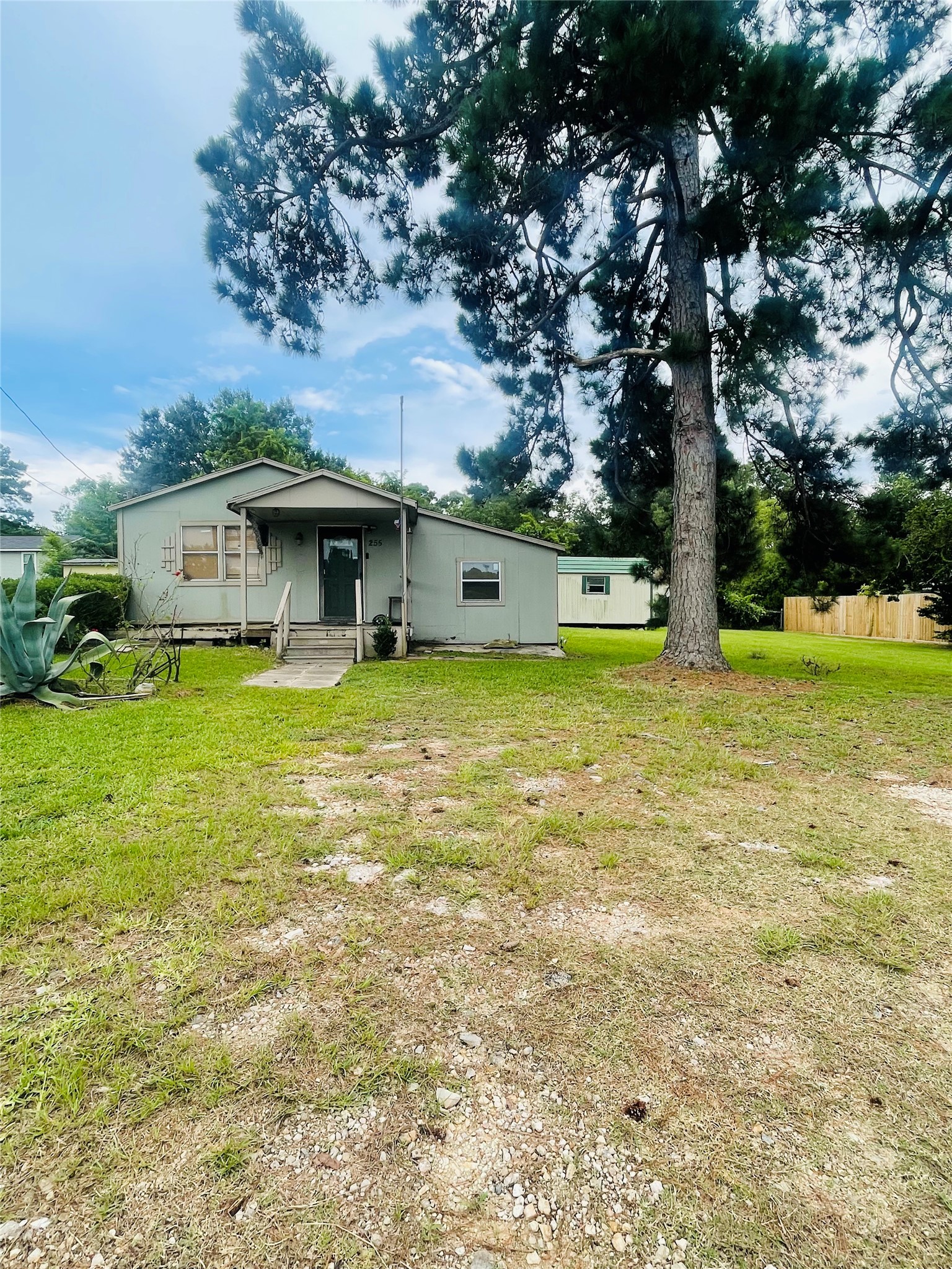 255 Bluebonnet Livingston, TX 77351 - Photo 3 of 7 a view of a house with a big yard and large trees