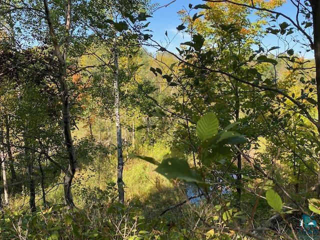 Two Big Rock Road Two Harbors, MN 55616 - Photo 5 of 22