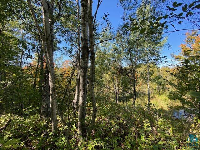 Two Big Rock Road Two Harbors, MN 55616 - Photo 6 of 22