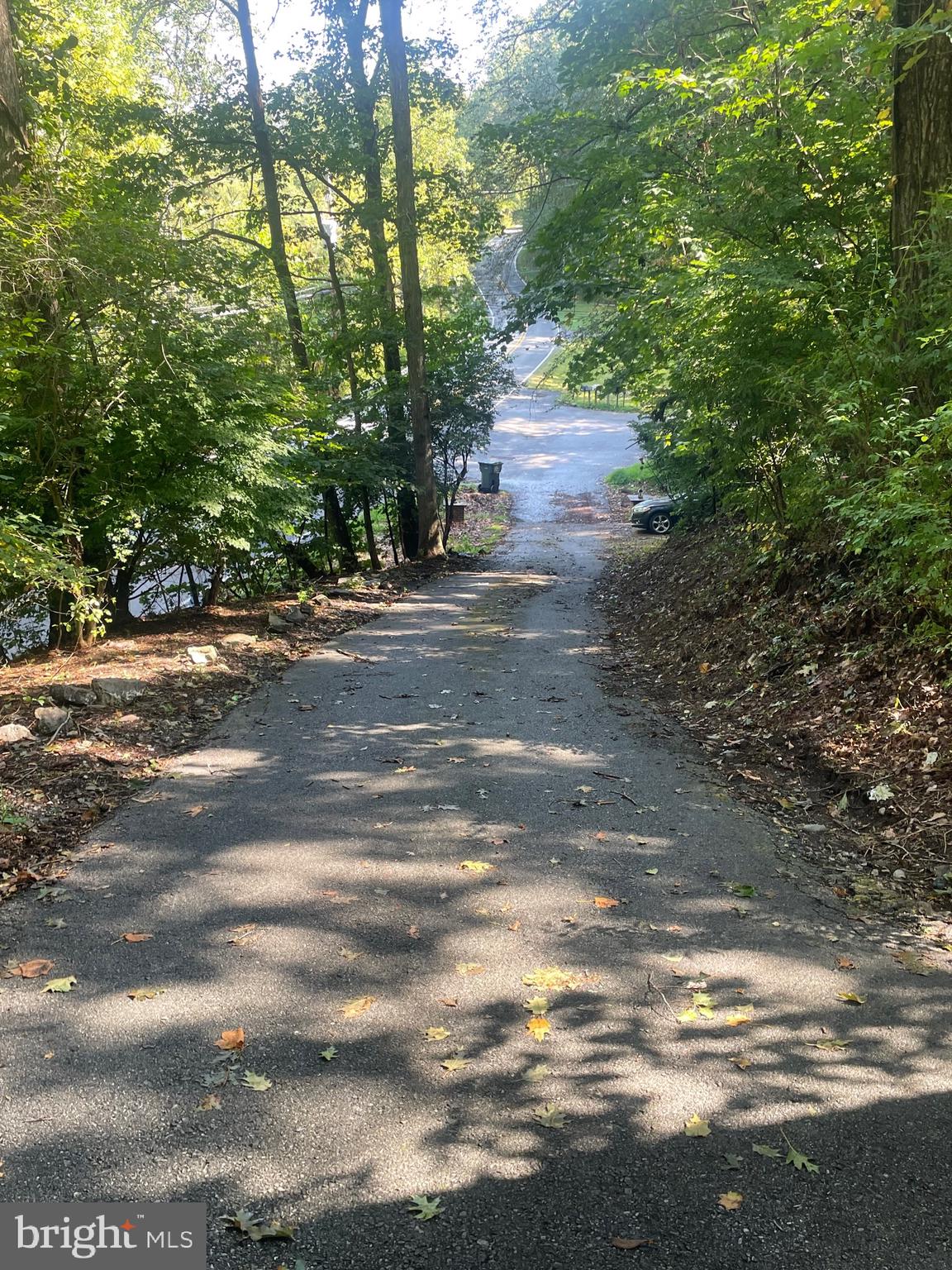 1300 Shadyside Road Downingtown, PA 19335 - Photo 14 of 17 a view of a yard with a tree