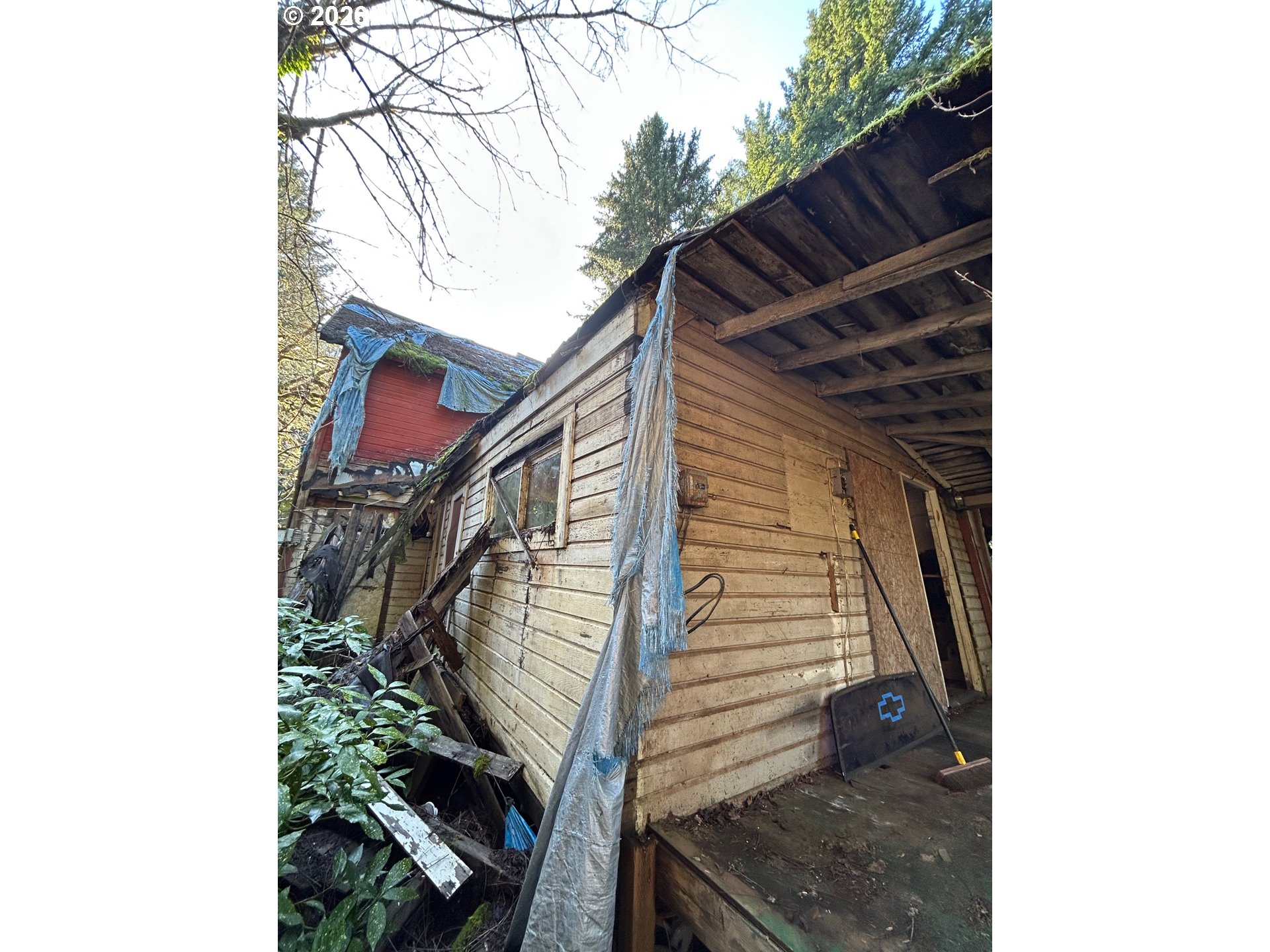 995 Parry Road Falls City, OR 97344 - Photo 4 of 7