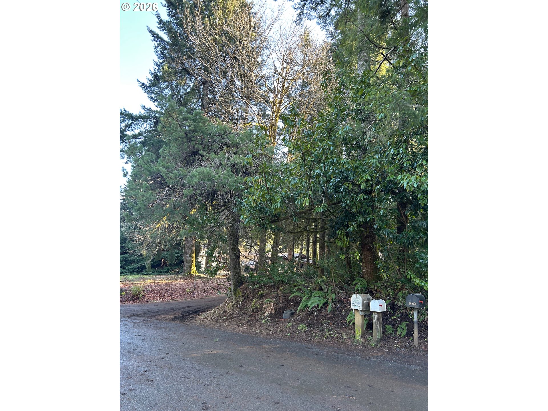 995 Parry Road Falls City, OR 97344 - Photo 7 of 7