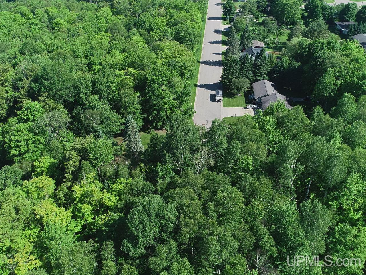 8-acres Nestor Road Munising, MI 49862 - Photo 5 of 43