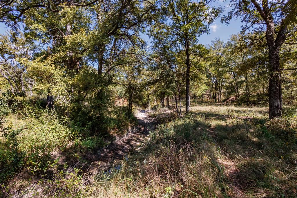 342 Tatanka Trail Gustine, TX 76455 - Photo 22 of 24