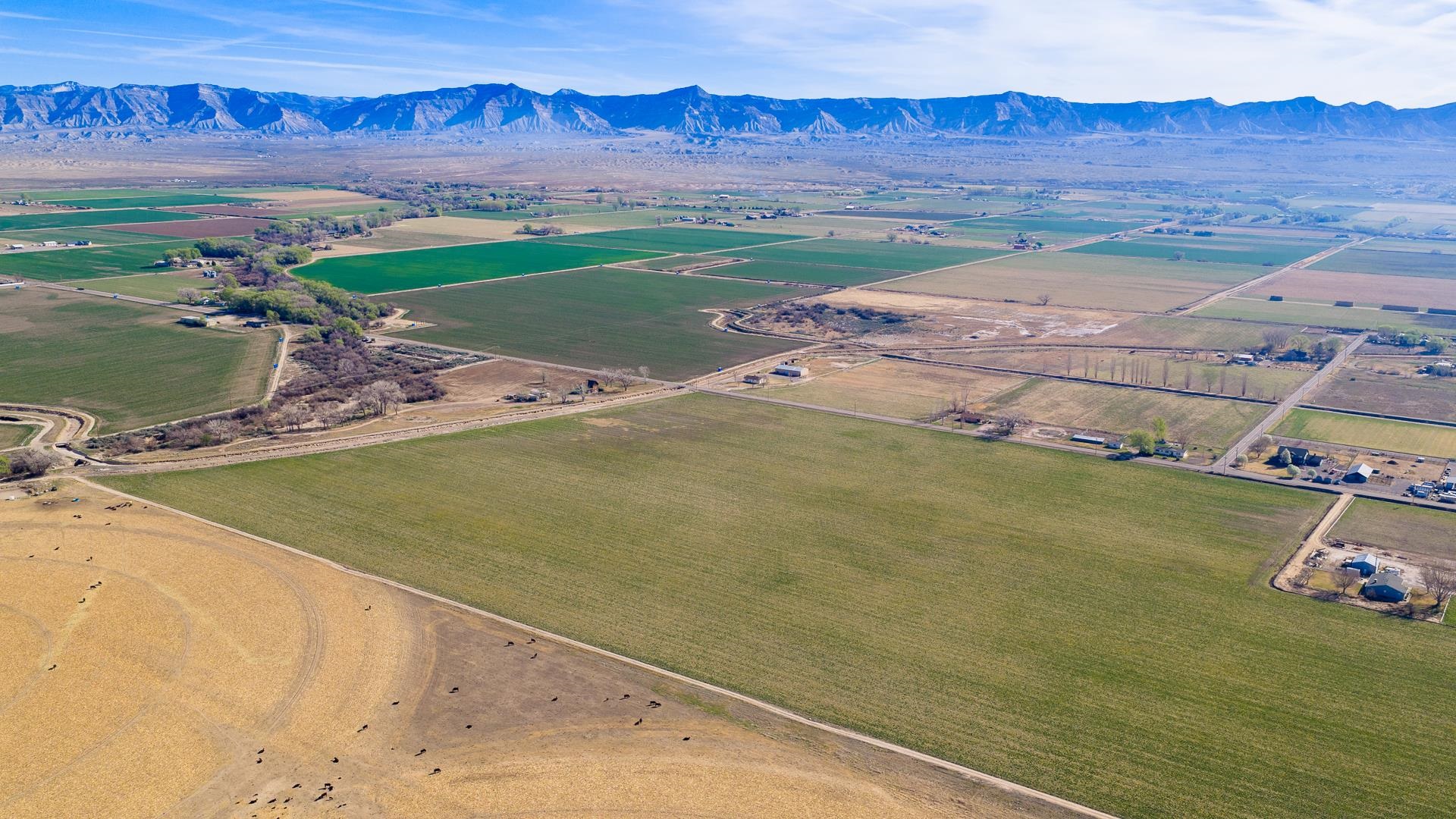 Tbd 20 Road Fruita, CO 81521 - Photo 4 of 18 Gallery Image 4