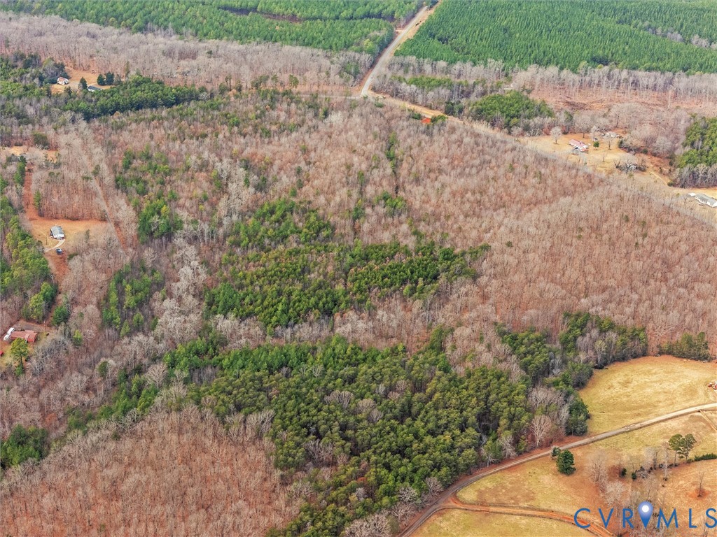 0 Hall Road Buckingham, VA 23921 - Photo 6 of 13