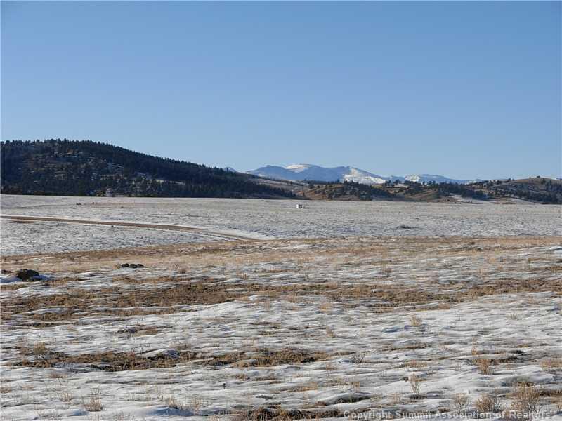 1518 Yellowstone Road Hartsel, CO 80449 - Photo 2 of 9