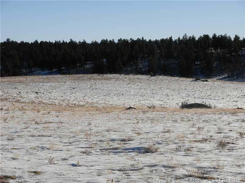 1518 Yellowstone Road Hartsel, CO 80449 - Photo 6 of 9 a view of outdoor space