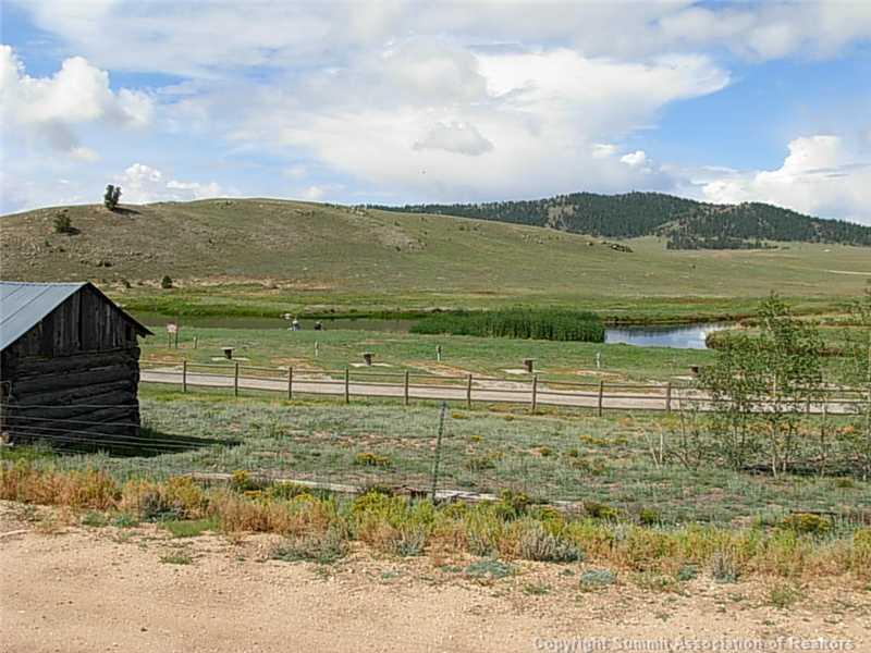 1518 Yellowstone Road Hartsel, CO 80449 - Photo 8 of 9 a view of a garden and mountain