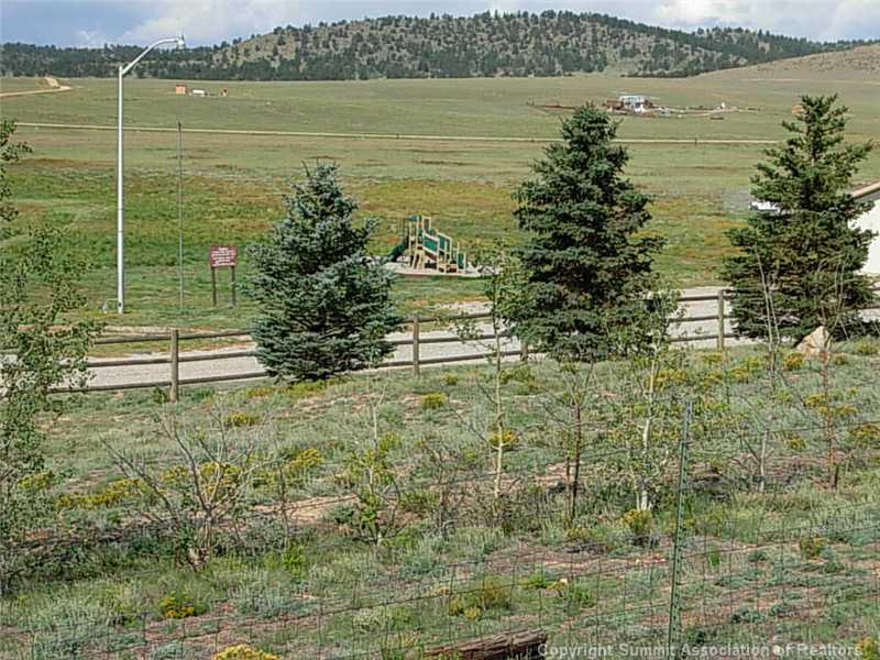 1518 Yellowstone Road Hartsel, CO 80449 - Photo 9 of 9 a view of lake view with lake view