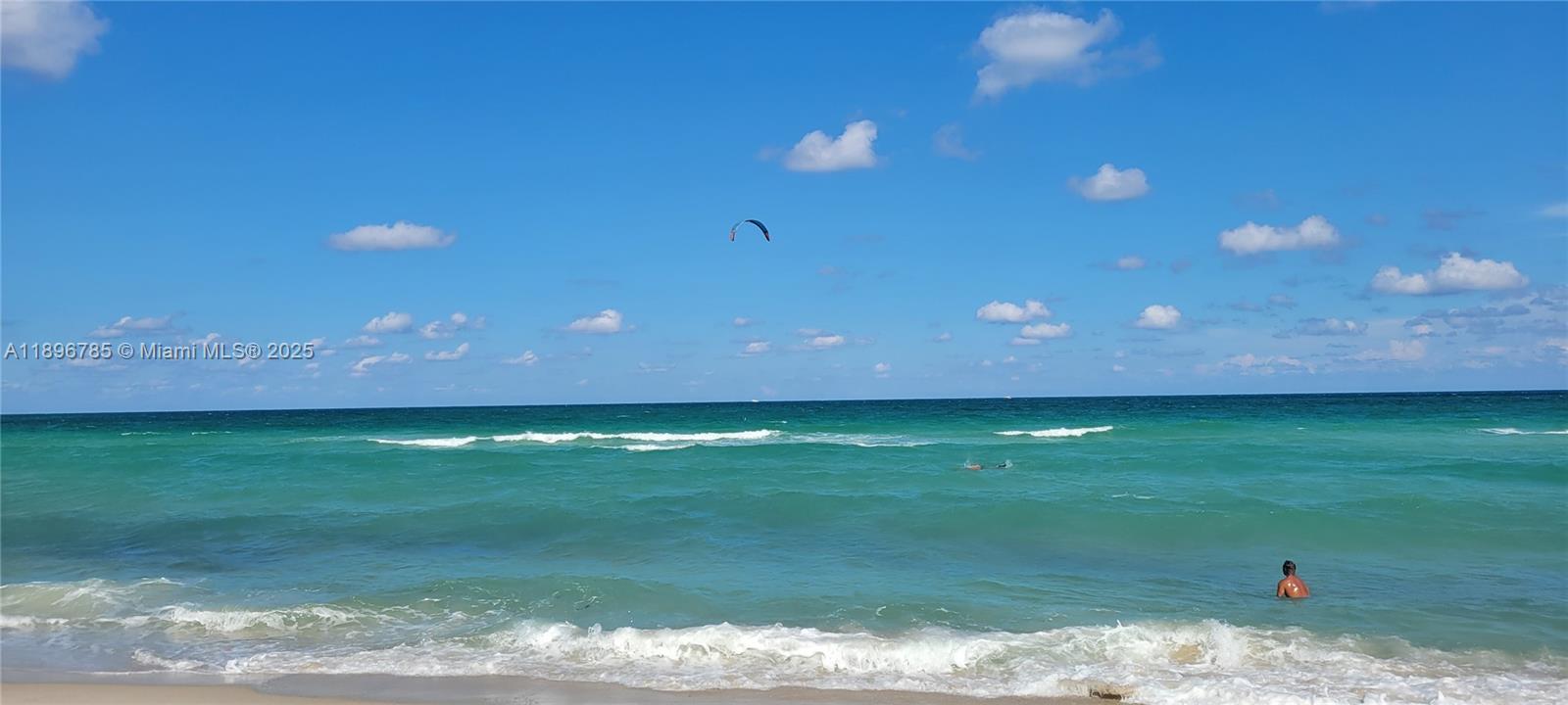 5401 Collins Avenue, Unit 214 Miami Beach, FL 33140 - Photo 1 of 37 a view of a yard