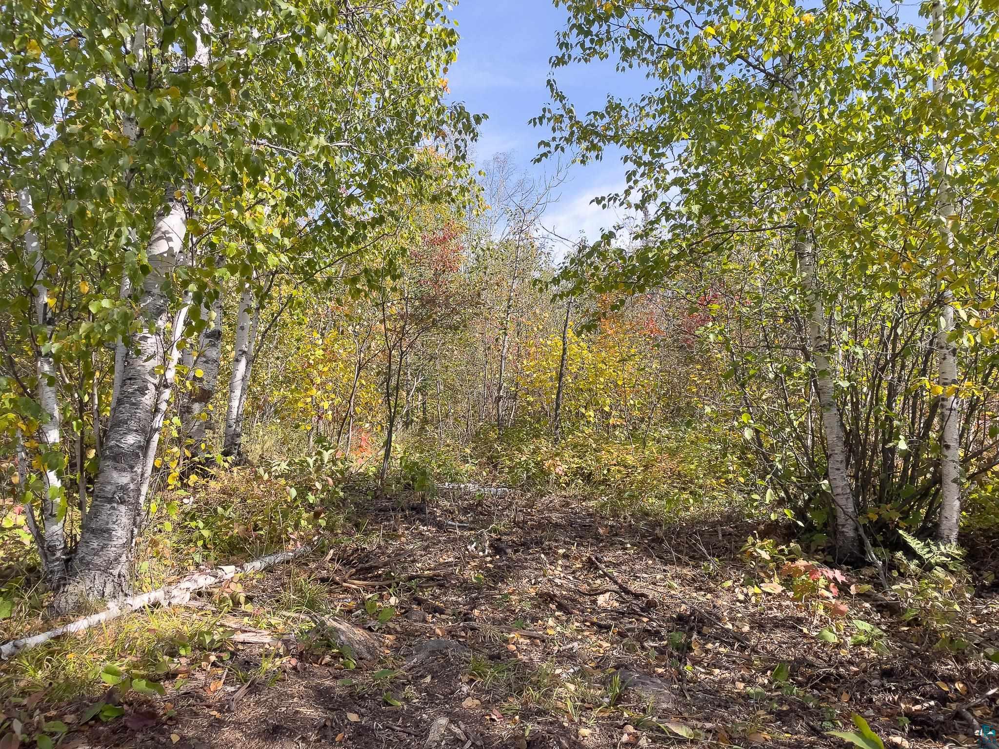 52-xx Ramsdell Heights Silver Bay, MN 55614 - Photo 15 of 26 Gallery Image 15