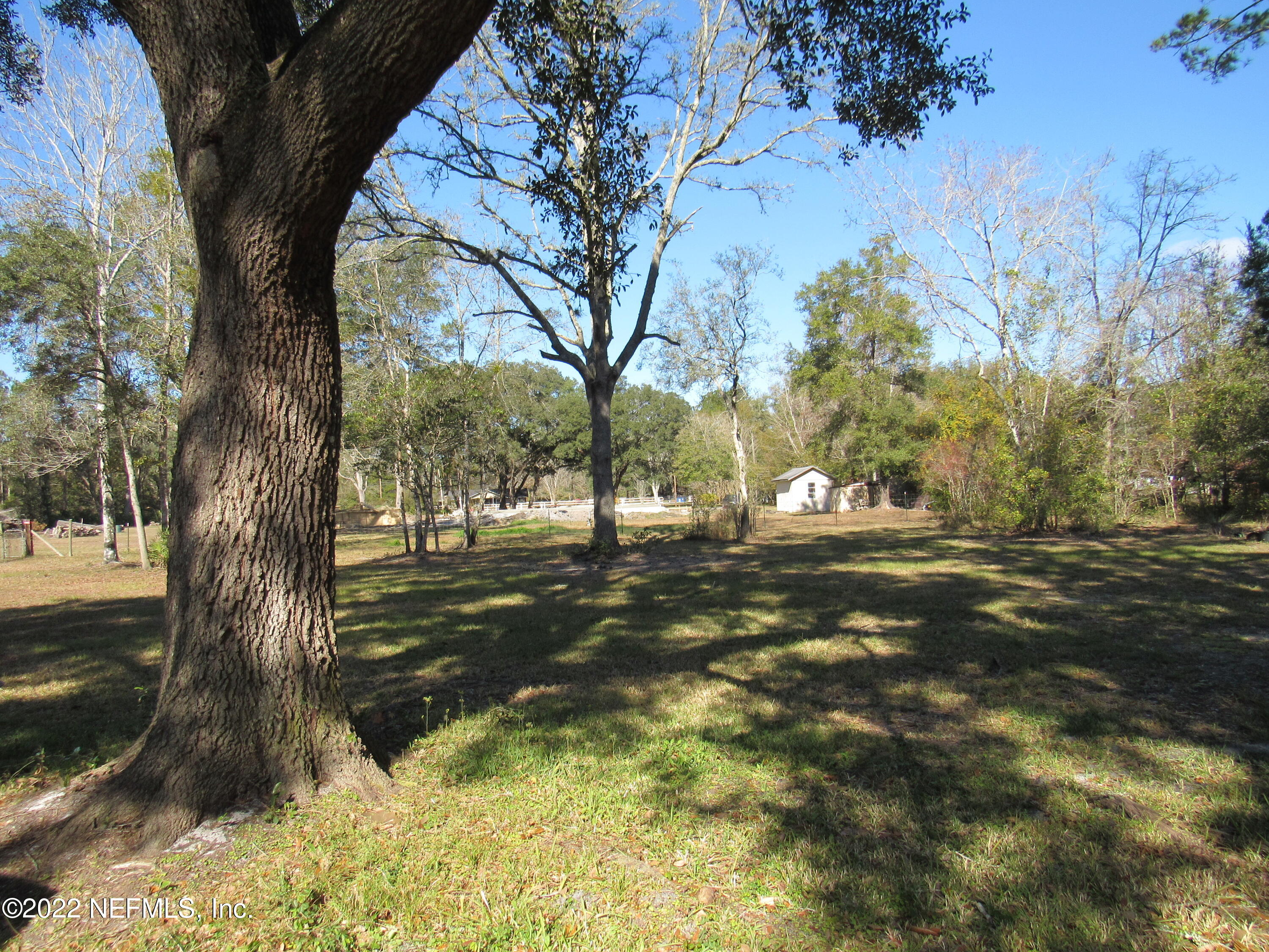 2284 Marlee Road South Jacksonville, FL 32259 - Photo 4 of 19 a view of yard with trees
