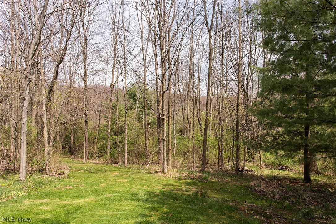 1709 State Road Hinckley, OH 44233 - Photo 26 of 27 Gallery Image 26