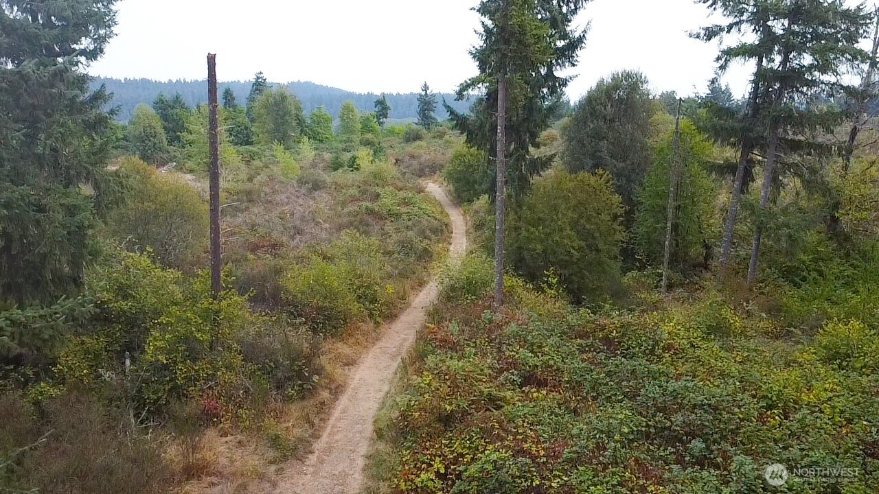 1546 Reservation Road Southeast, Unit 253 Olympia, WA 98513 - Photo 35 of 38 a view of a forest filled with trees