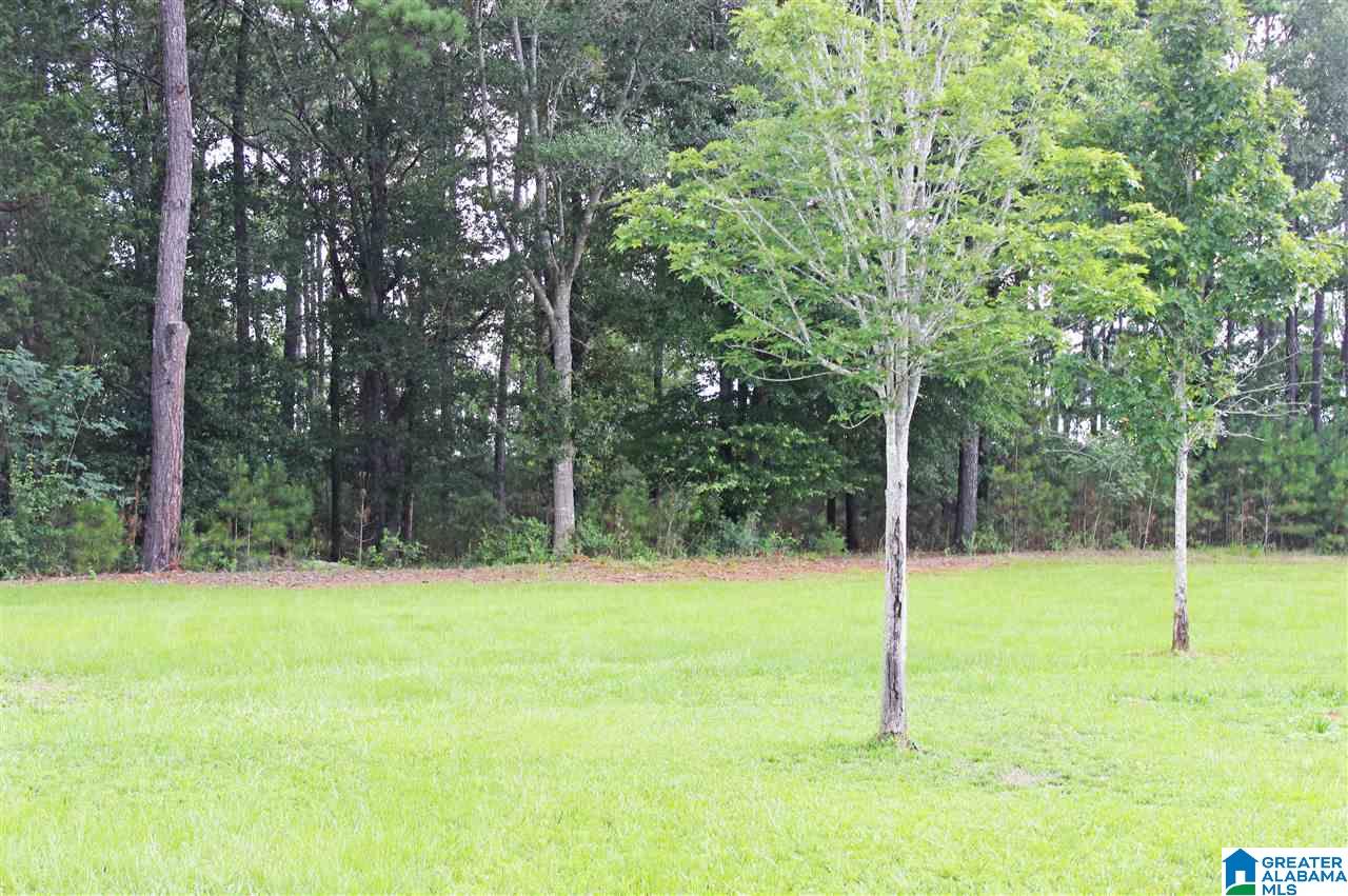 616 McClellan Road Alexandria, AL 36250 - Photo 35 of 50