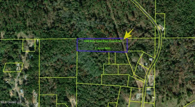 $20,000 | 44 New St Paul Church Drive, Waynesboro, MS 39367