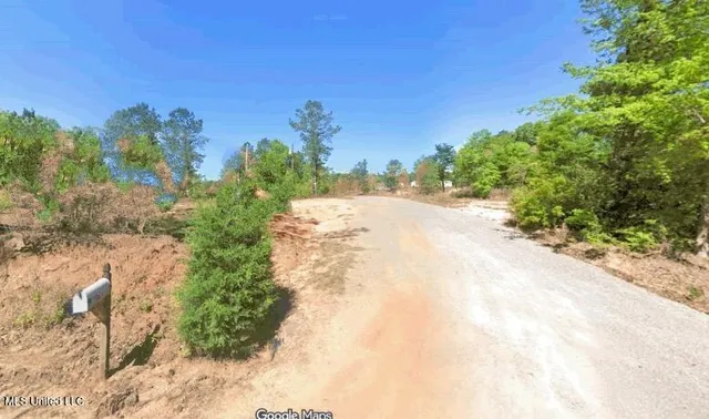 $20,000 | 44 New St Paul Church Drive, Waynesboro, MS 39367