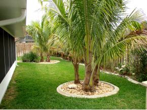 911 Jefferson Road Rockledge, FL 32955 - Photo 11 of 12 Additional Photo