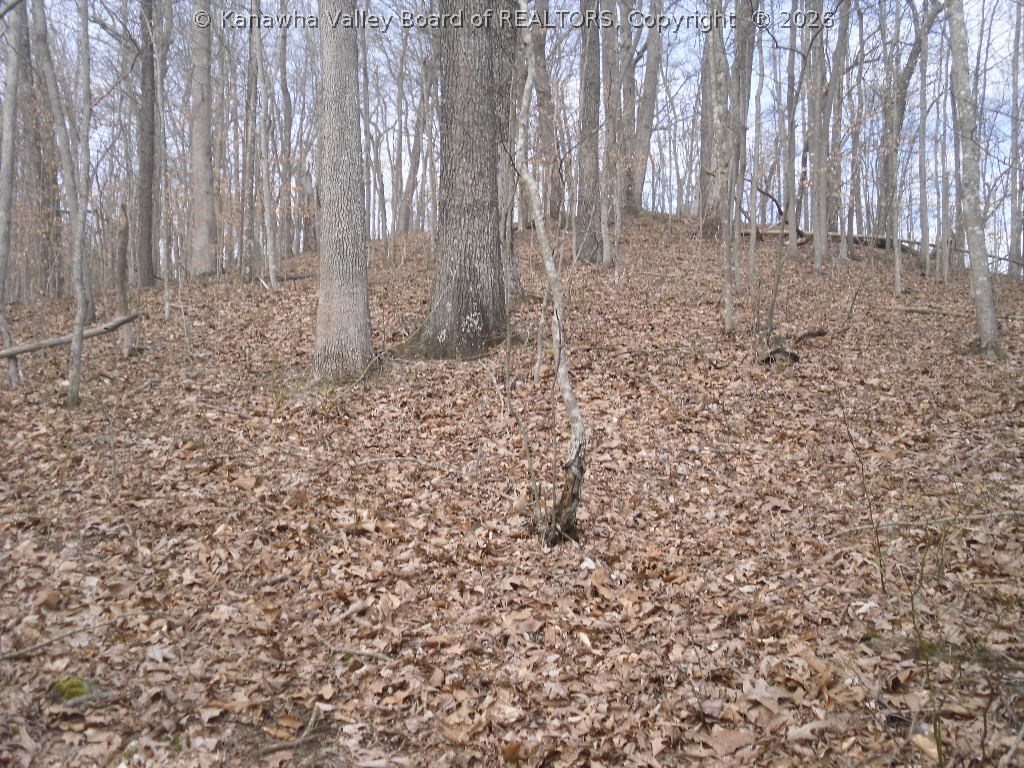 250A Brook Road South Charleston, WV 25309 - Photo 11 of 13 Gallery Image 11