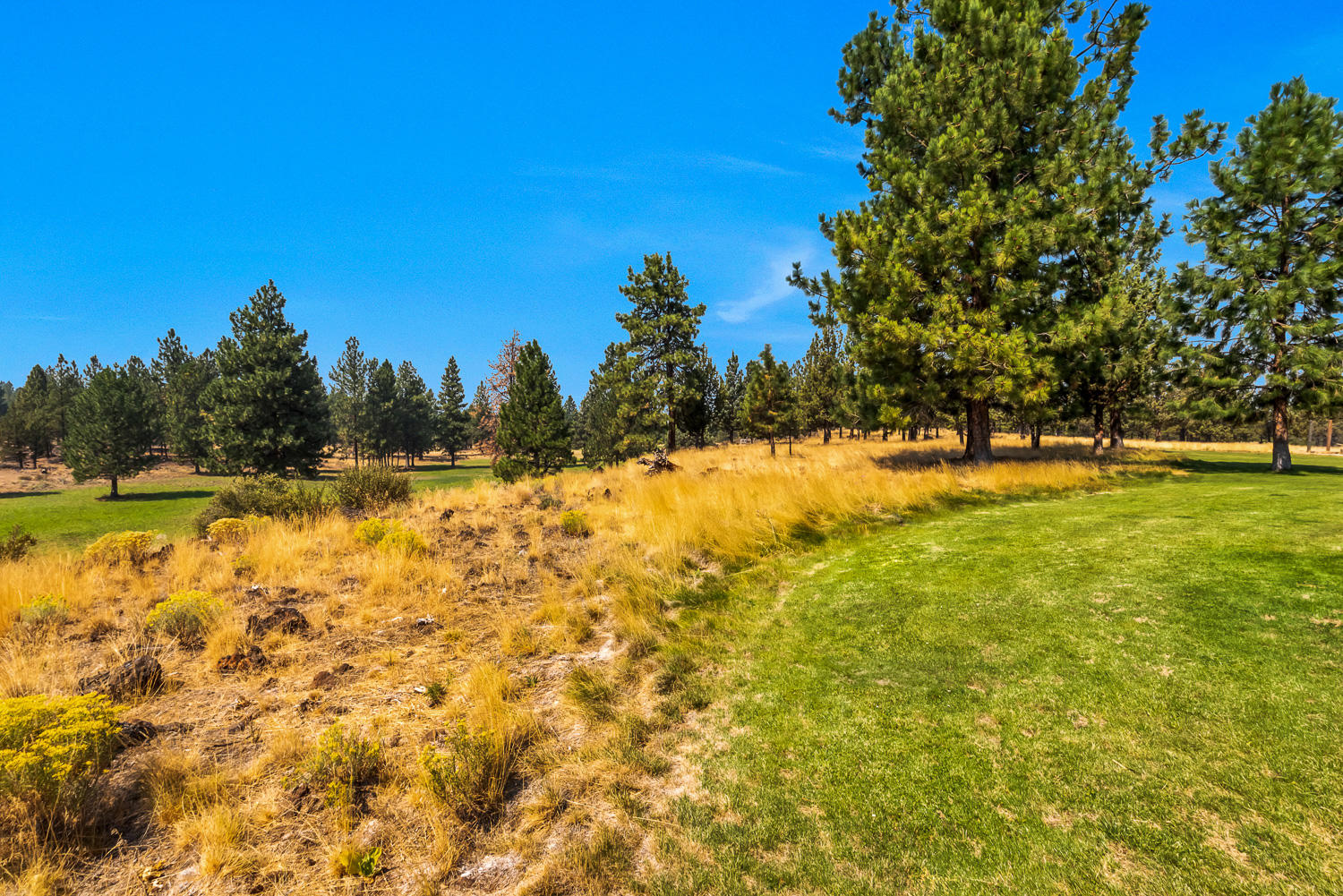 18686 Bull Springs Road Bend, OR 97703 - Photo 69 of 88 18686 Bull Springs - 69