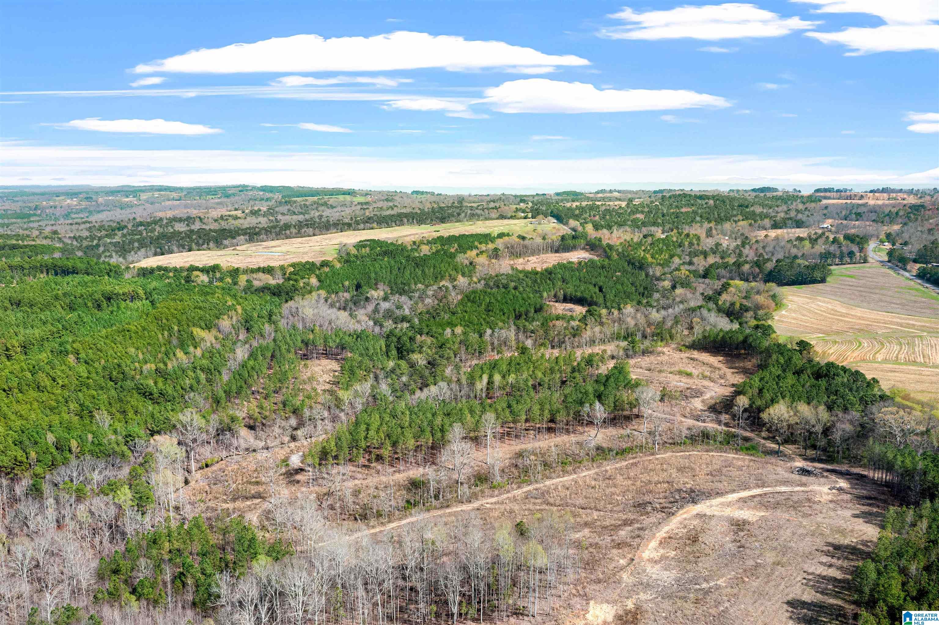 0 Frost Road, Unit 100 / ACRES Springville, AL 35146 - Photo 50 of 60