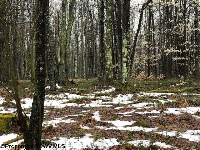 Lot 3 Cherry Davis, WV 26260 - Photo 11 of 14 Gallery Image 11