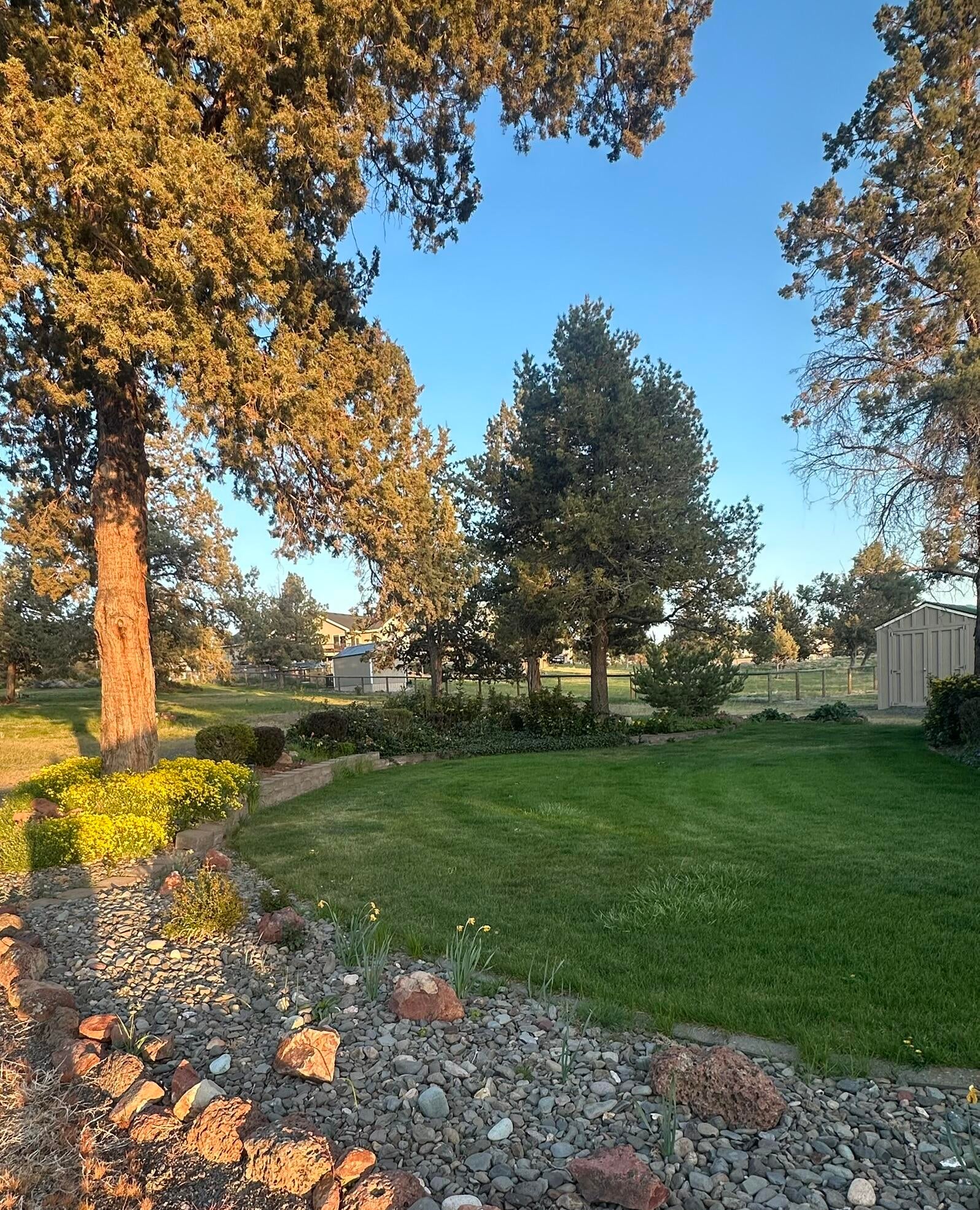 165 Southwest Crestview Lane Madras, OR 97741 - Photo 61 of 68 Front Yard