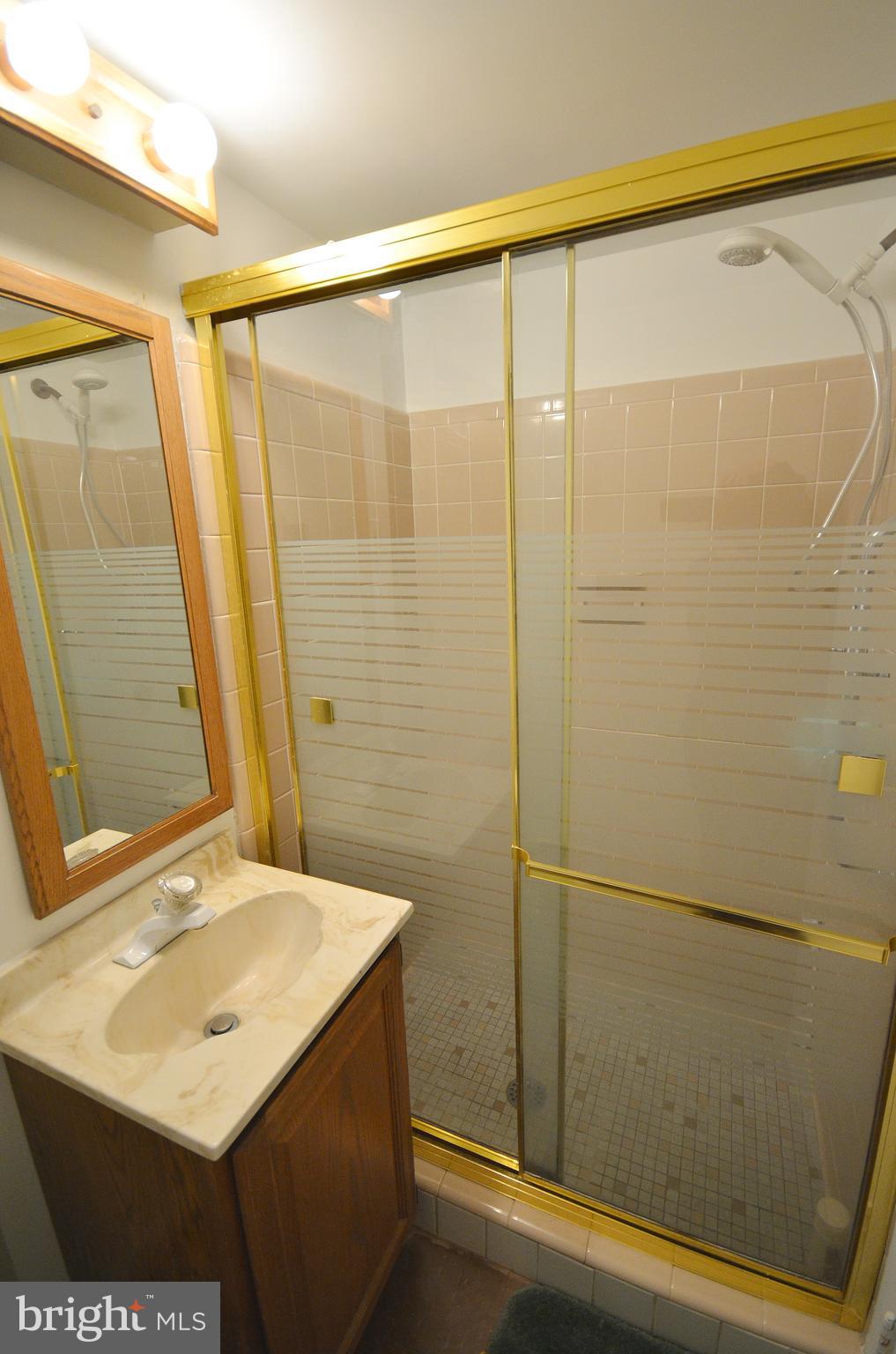 4313 Franconia Road Alexandria, VA 22310 - Photo 32 of 42 Lower Level Full Bath