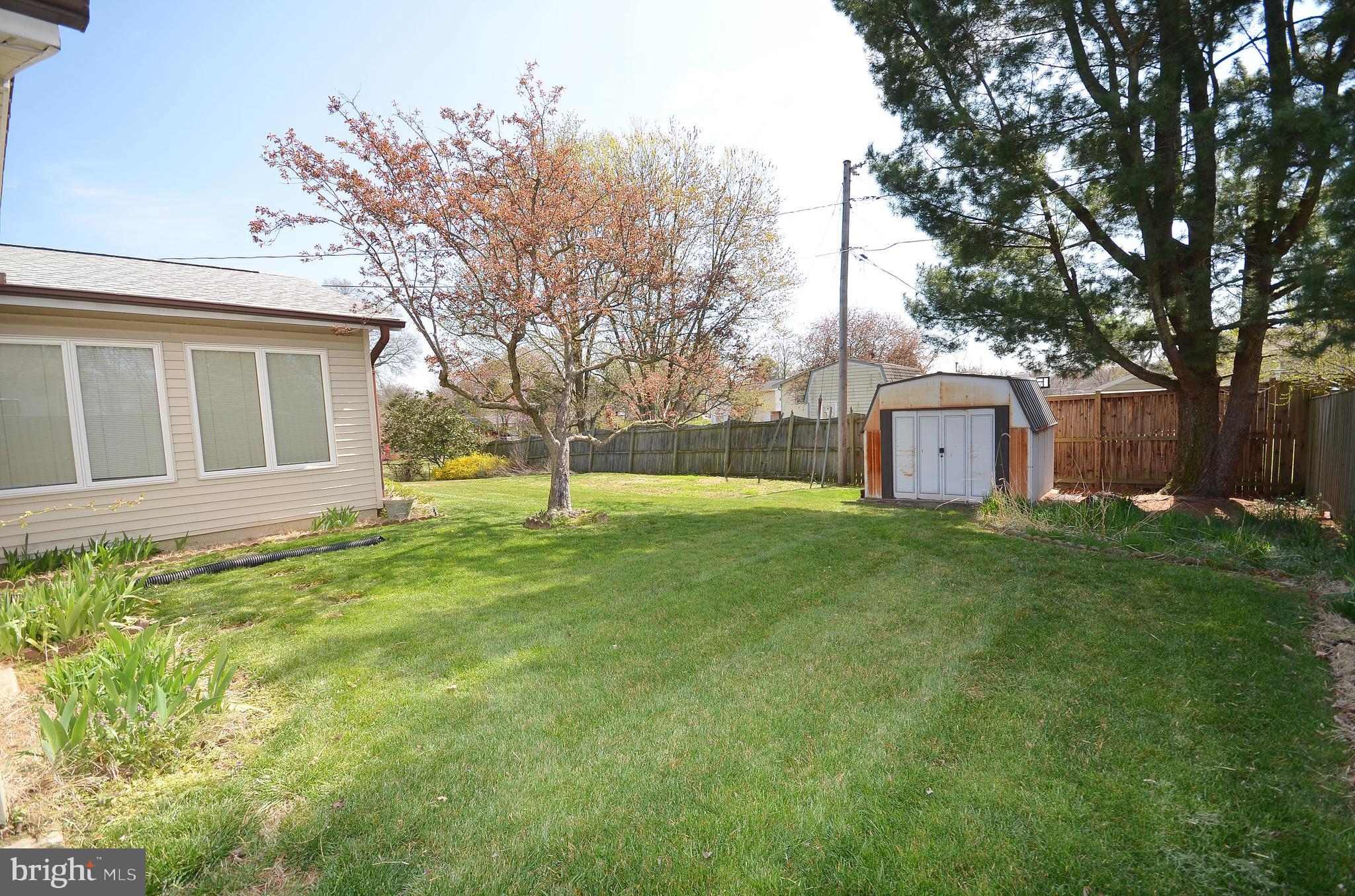 4313 Franconia Road Alexandria, VA 22310 - Photo 40 of 42 Storage Shed