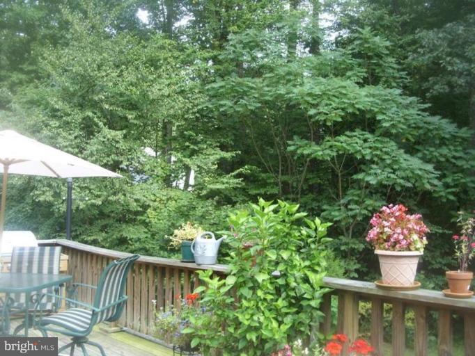 2001 Blue Mt Road Monkton, MD 21111 - Photo 2 of 13 Deck