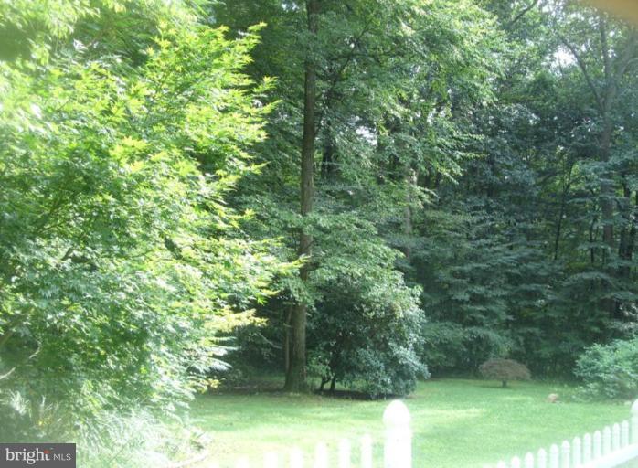 2001 Blue Mt Road Monkton, MD 21111 - Photo 4 of 13 Back yard