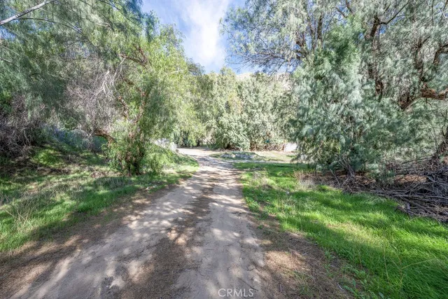a view of a yard with a tree