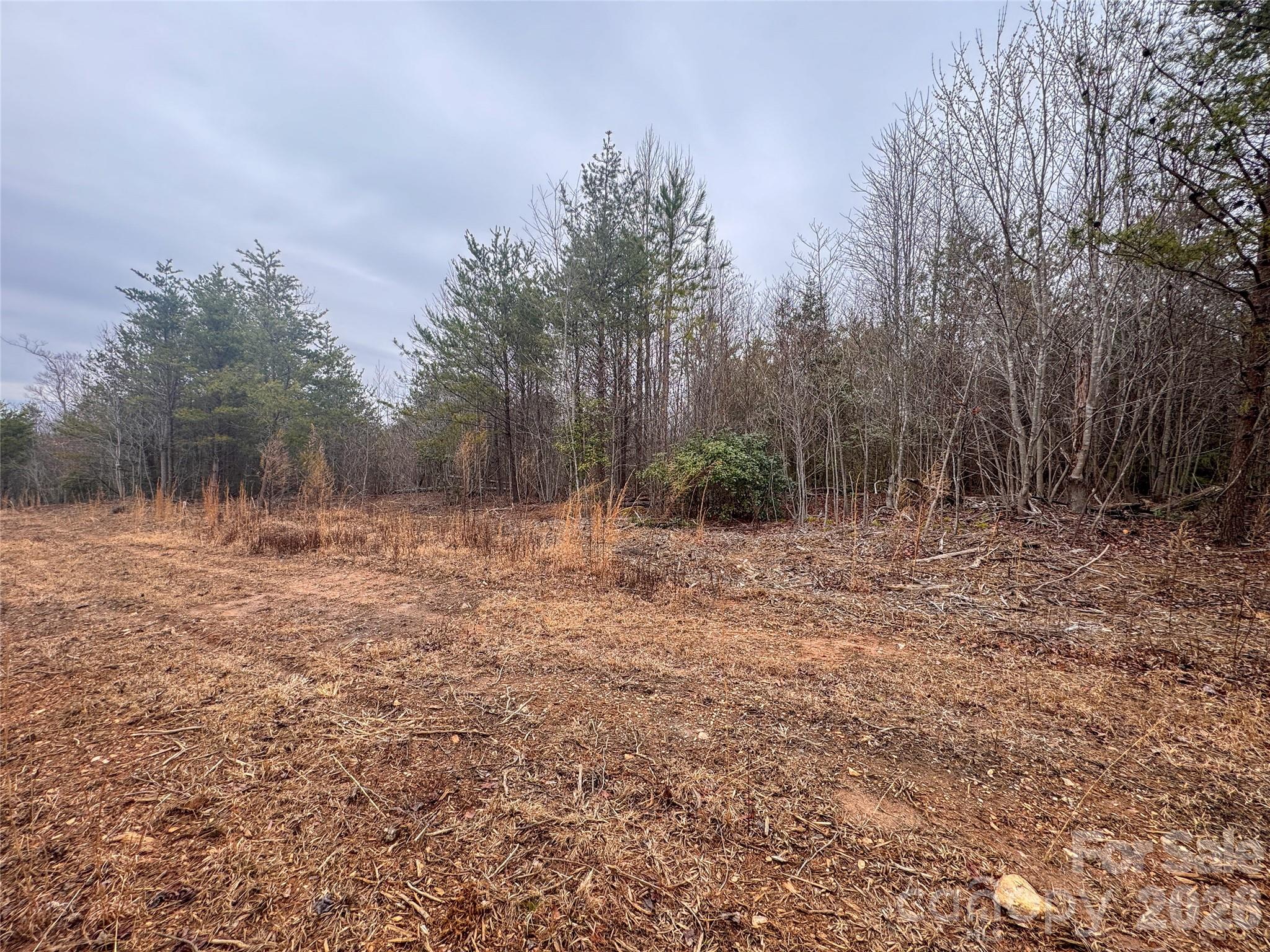 0 Baugess Mill Road Traphill, NC 28685 - Photo 21 of 29