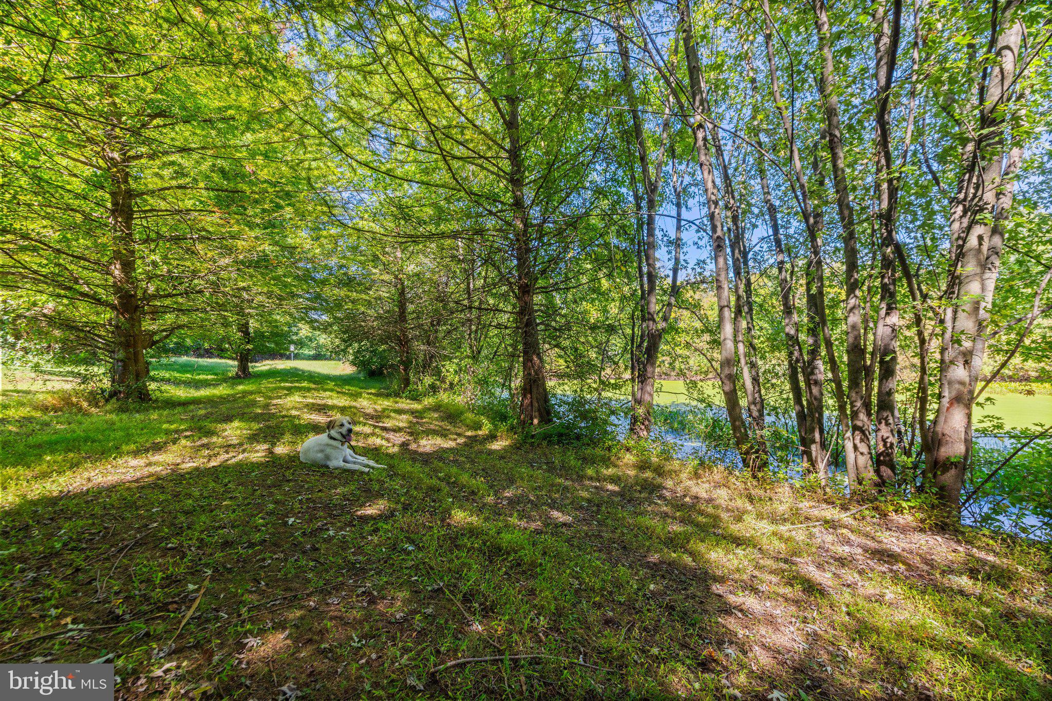 17809 Webb Road Stewartstown, PA 17363 - Photo 92 of 134 Gallery Image 92