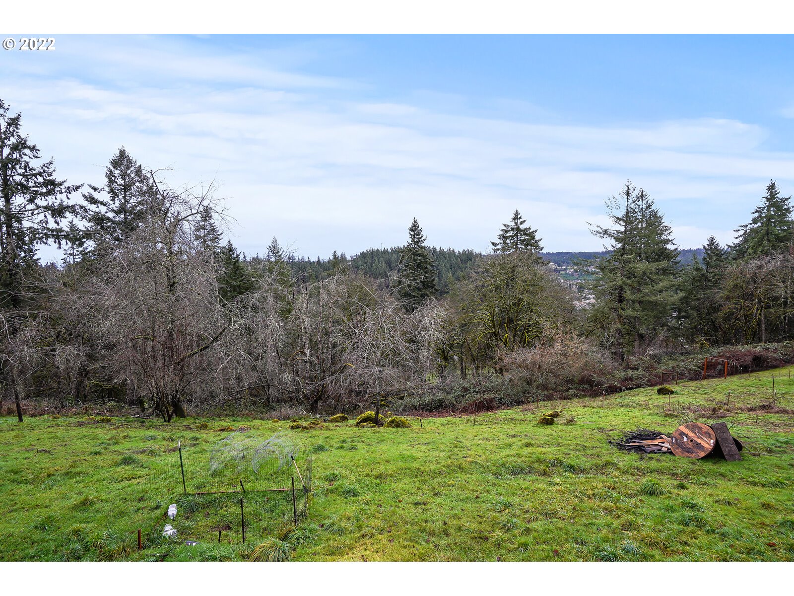 4490 Victor Point Road Northeast Silverton, OR 97381 - Photo 29 of 32