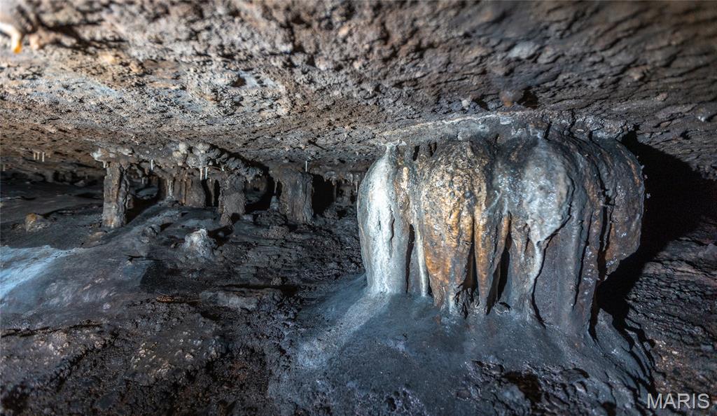 0 Pool Holler Cave Road Rolla, MO 65401 - Photo 12 of 37 Gallery Image 12