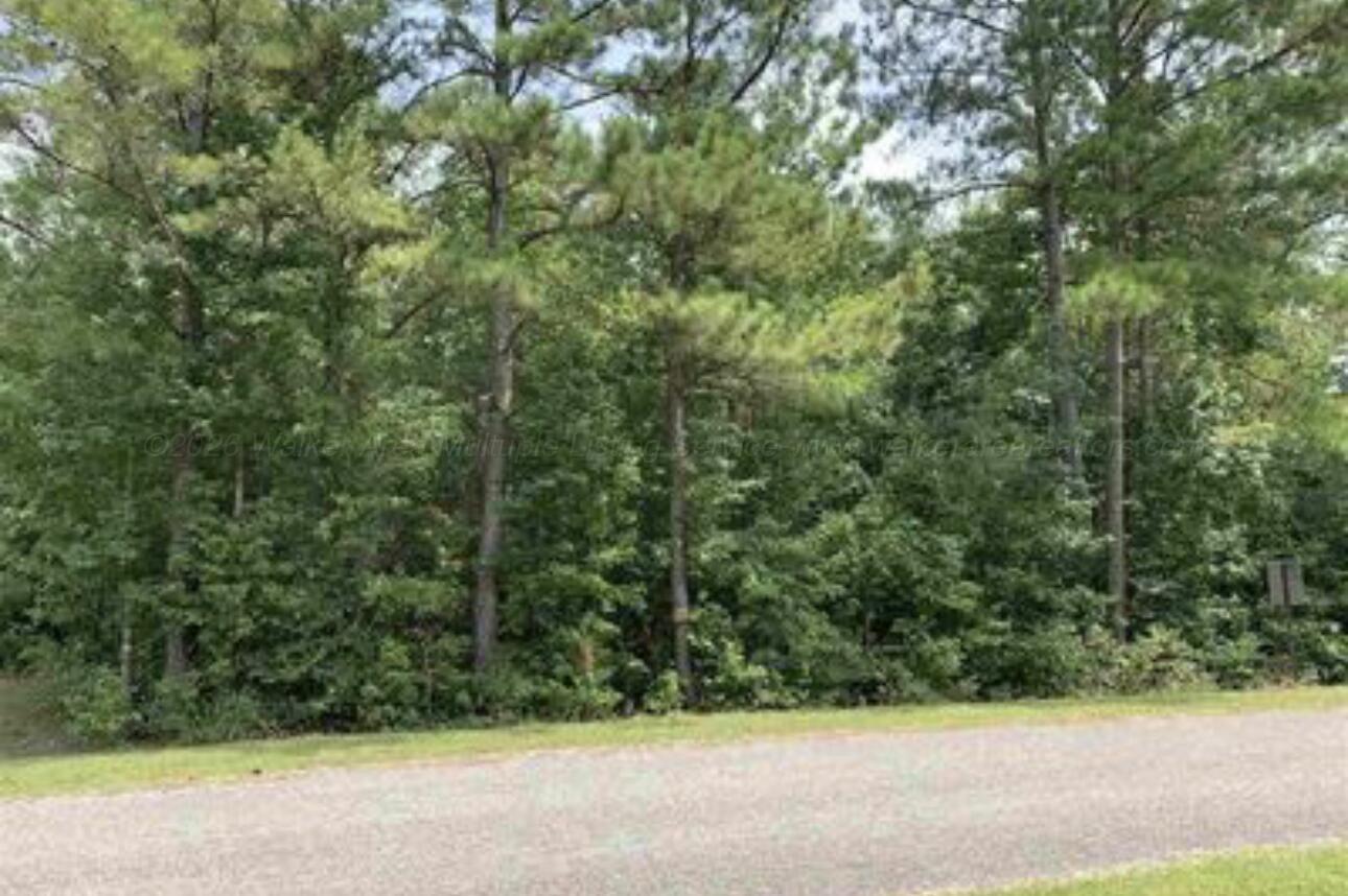 221 Odonnell Road Ashville, AL 35953 - Photo 1 of 1 Gallery Image 1