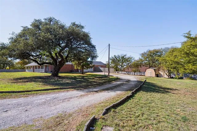 a view of a yard with large trees