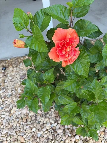 $199,900 | 8304 Princess Court, Palmetto, FL 34221